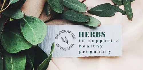 Herbs to Take During Pregnancy
