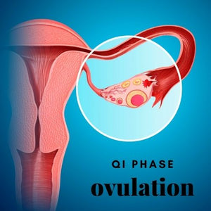 INCREASING FERTILITY WITH WISDOM OF THE WOMB: THE QI PHASE