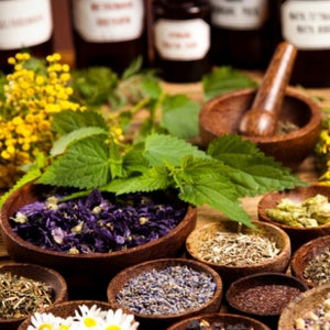 Best Herbs for Female Fertility