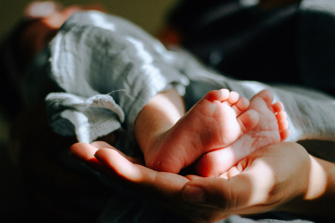Wisdom of the Womb Postpartum Support Guide