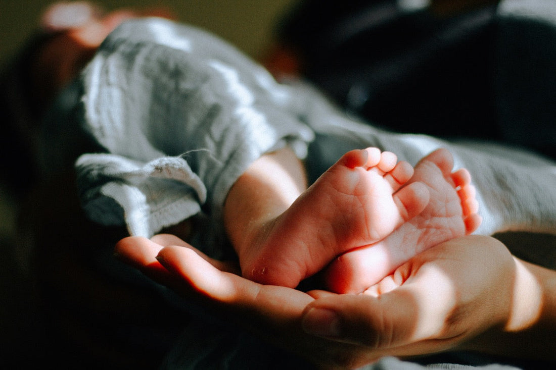 Wisdom of the Womb Postpartum Support Guide