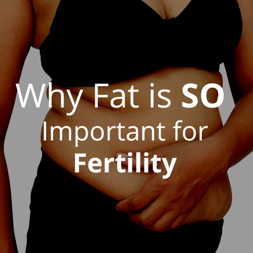 Why Fat is SO Important for Fertility