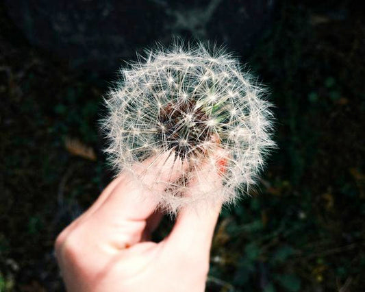 Can Histamine Affect Your Period? (What Most Women Aren’t Being Told)