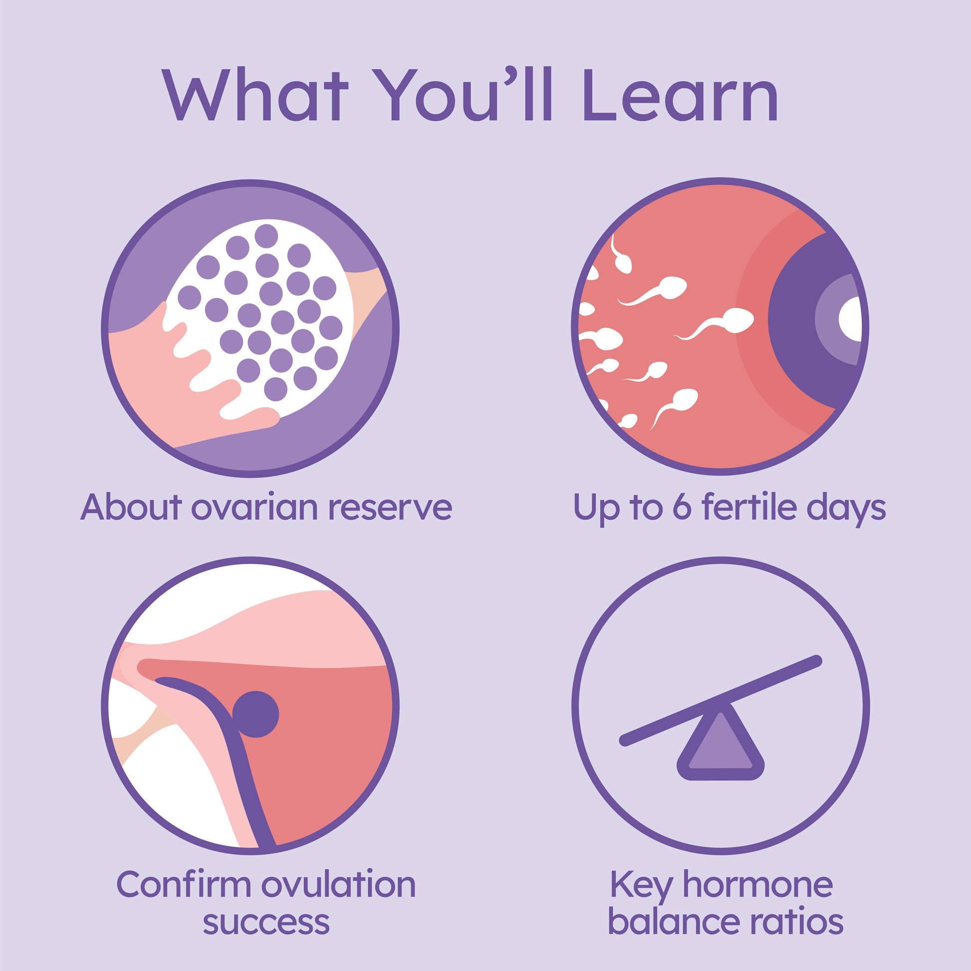 Proov Complete Fertility Testing System - Wisdom of the Womb