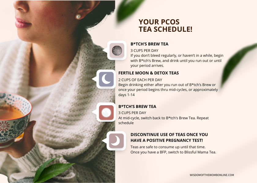 PCOS Bundle - Wisdom of the Womb
