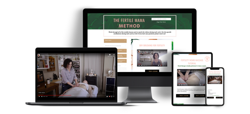 Fertile Mama Method - 12 Week Program (plus $50 Product Gift Card!) - Wisdom of the Womb