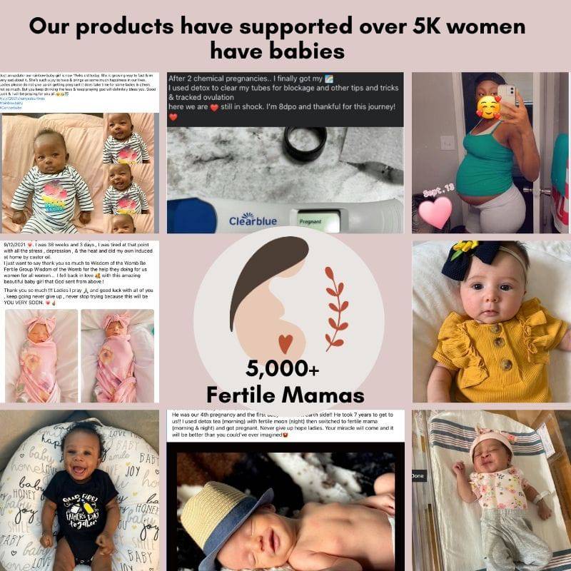 PMS Support Bundle - Wisdom of the Womb